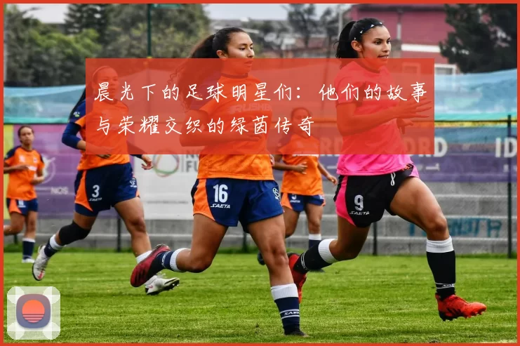 晨光下的足球明星们：他们的故事与荣耀交织的绿茵传奇