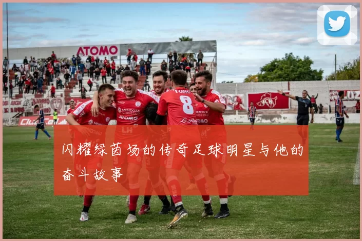 闪耀绿茵场的传奇足球明星与他的奋斗故事