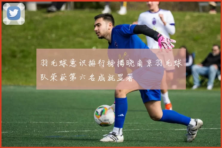 羽毛球意识排行榜揭晓南京羽毛球队荣获第六名成就显著
